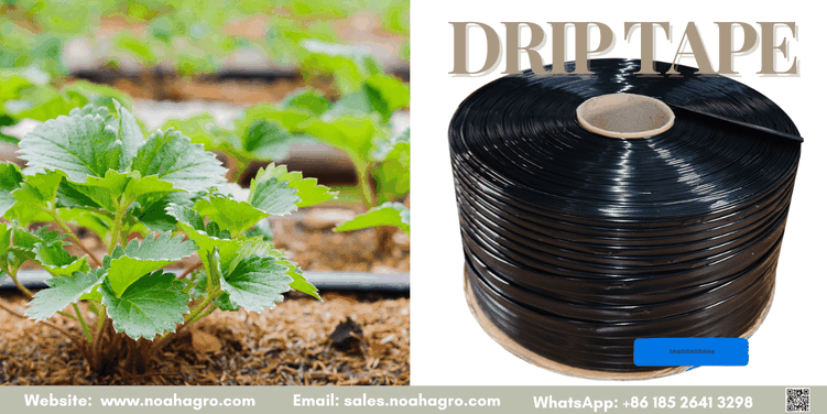 drip1 drip1